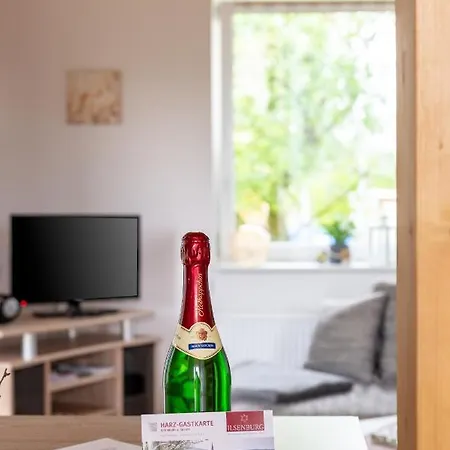 Holiday home Natzel Darlingerode